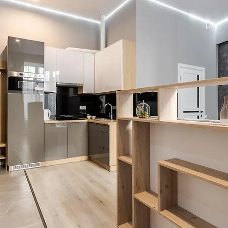 Inshiapartments On Popovycha Str 3 *